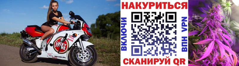 Купить  Пудож  Каннабис сатива 